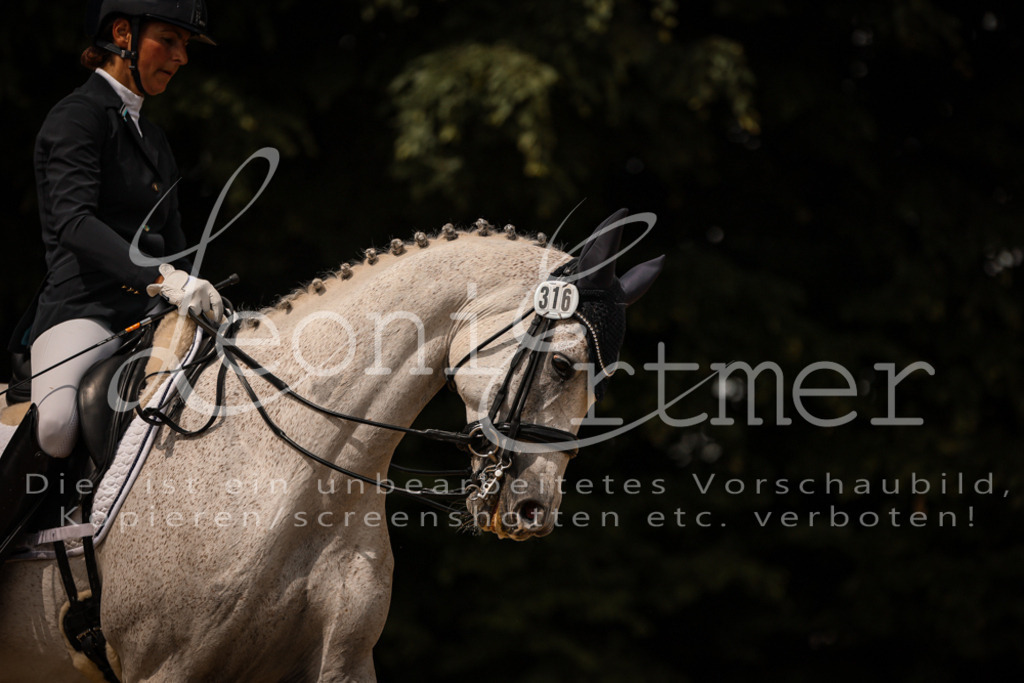 18.SoDrLK00245 | Leoni Ertmer Photography - Realisiert mit Pictrs.com