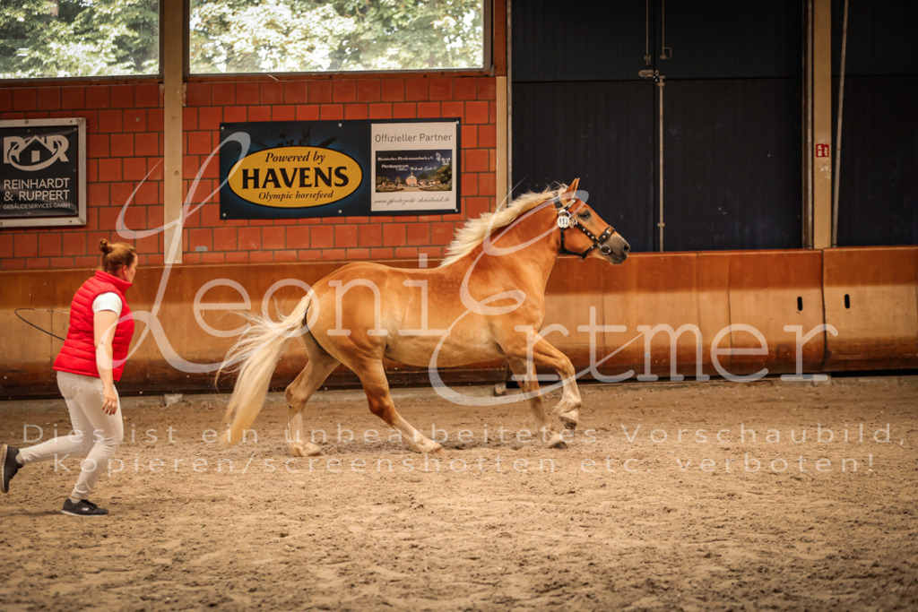 SaFL00277 | Leoni Ertmer Photography - Realisiert mit Pictrs.com