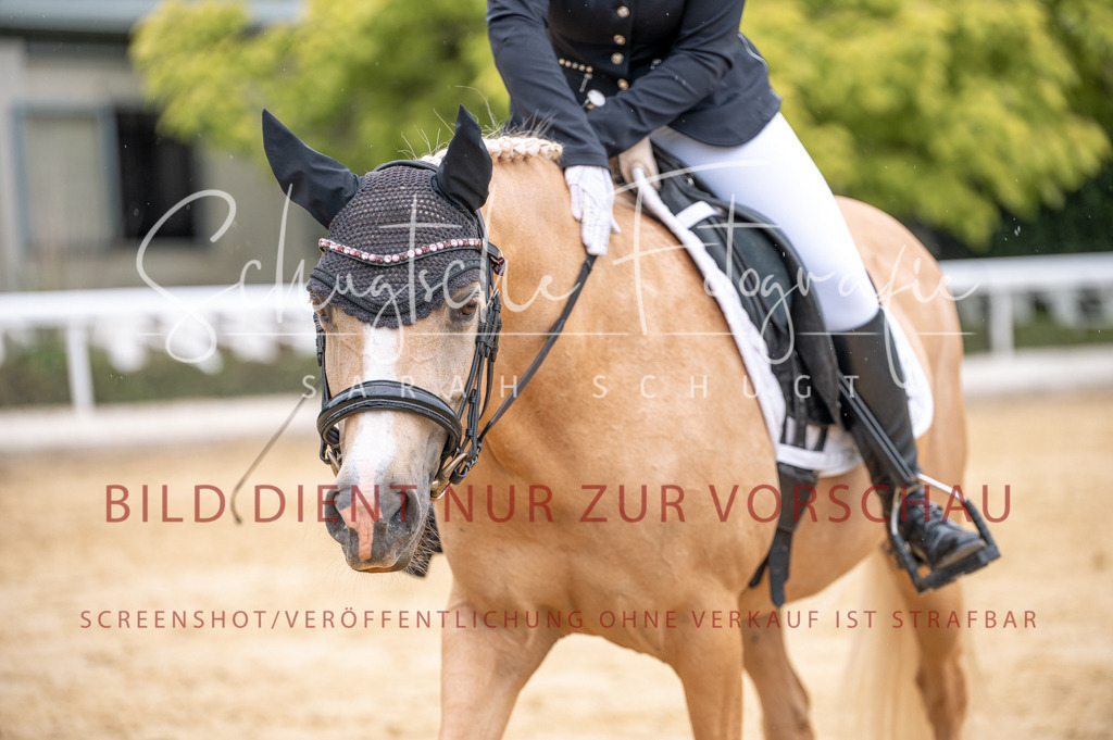 Schugtsche-Aluta25-41.Amat-Dressurprf.A_-321 | Schugtsche Fotografie - Realisiert mit Pictrs.com