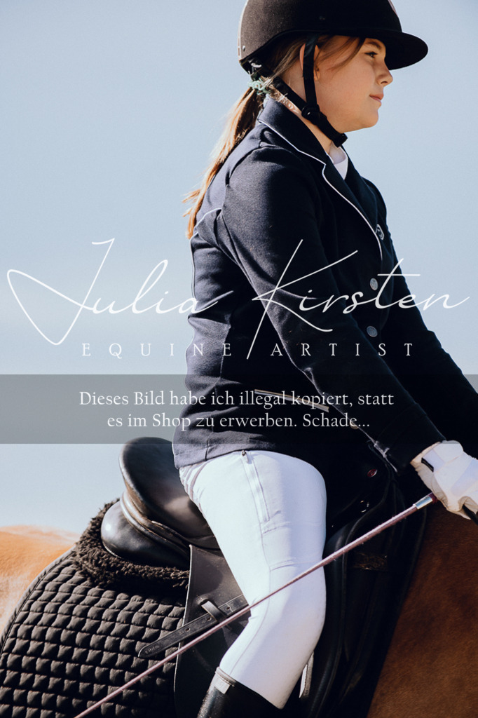 DSC_6881 | Pferde- und Turnierfotografie in Westsachsen. Pferdeportraits, Auftragszeichnungen und intuitive Kunst.