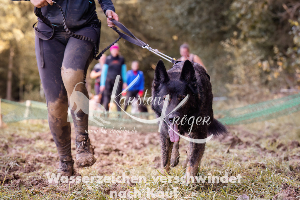 1243_ZZ90628 | kk-dogfotos