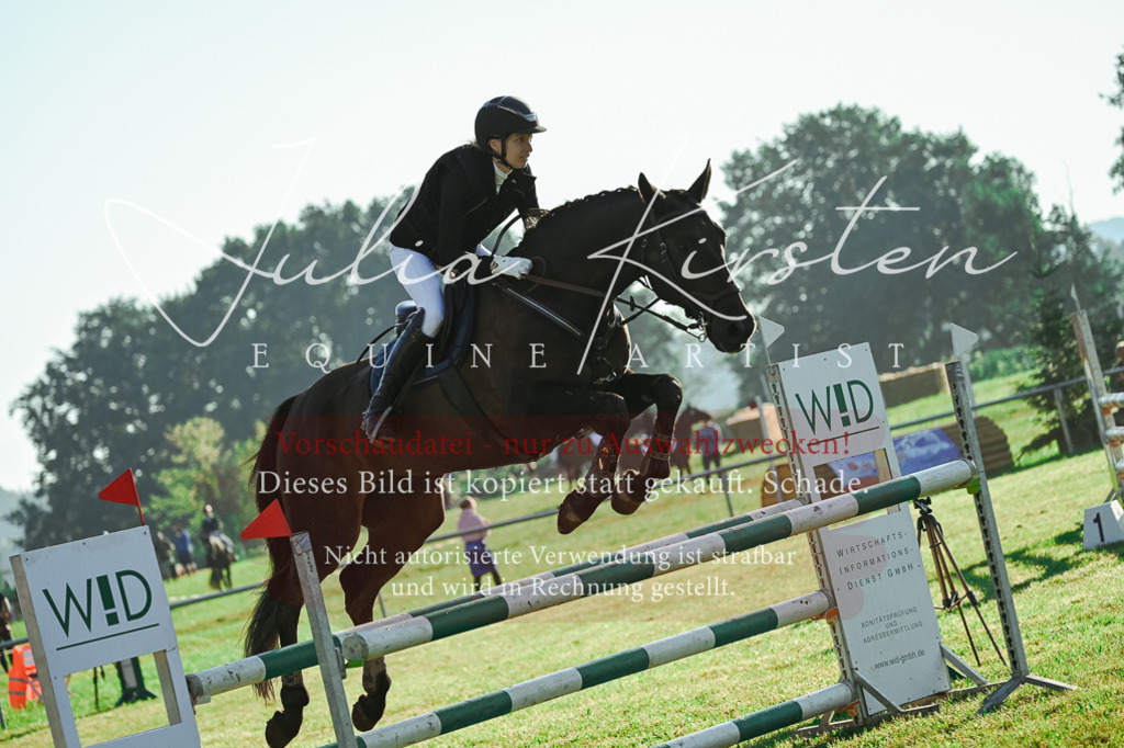 DSC_4337 | Pferde- und Turnierfotografie in Westsachsen. Pferdeportraits, Auftragszeichnungen und intuitive Kunst.