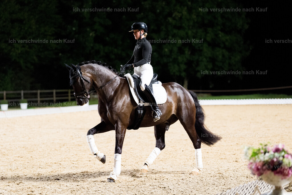 FHC2025 Isabell Werth-9452 | working equitationturnier fotograf videograf stoibphotography marixx film working equitation deutschland reitsport turnierfotografie eventfotografie equestrian events