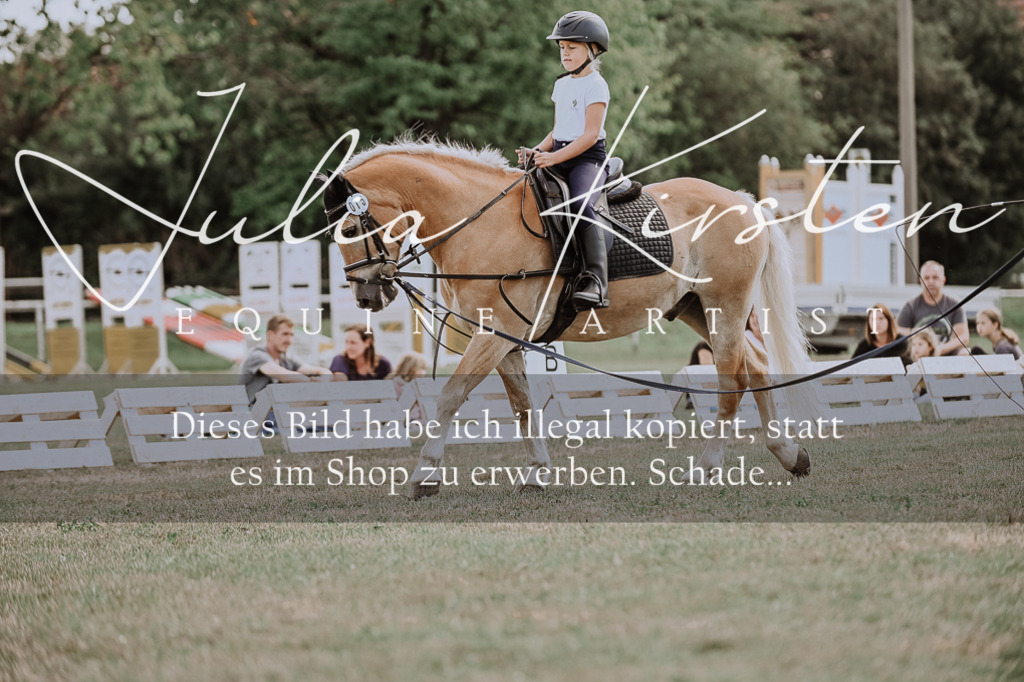 DSC_7688 | Pferde- und Turnierfotografie in Westsachsen. Pferdeportraits, Auftragszeichnungen und intuitive Kunst.