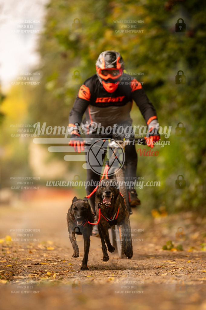 CDLBDB_14_10_2023_Samedi-190 | PayLife