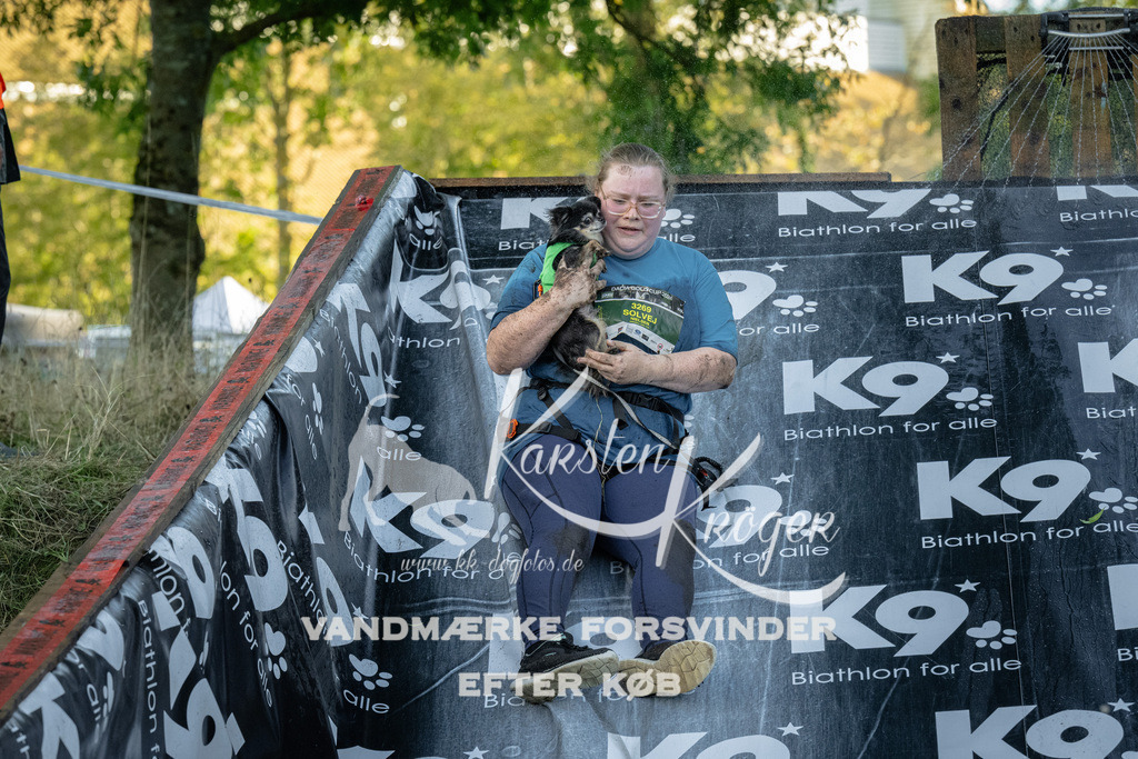 1629_ZZ92398 | kk-dogfotos