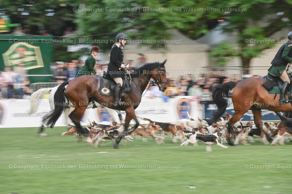 20230526_Pferdenacht_0654 | equistock
