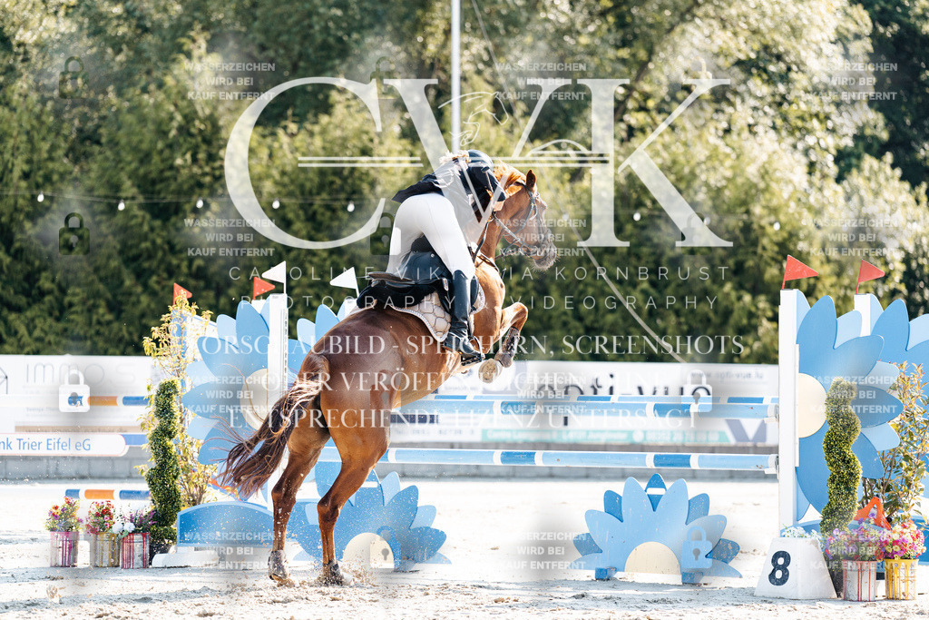 CK901779 | Turnierfotografie Pferdefotografie Trier Rheinland-Pfalz Pferdesport Reitsport Tierfotografie Sportfotografie Pferdevideo Pferdevideografie Equestrianvideography equestrianphotography  - Realisiert mit Pictrs.com
