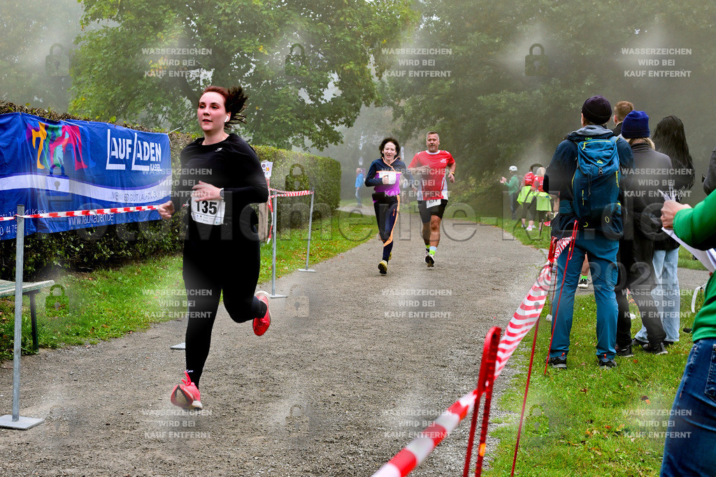 Z8N_2165 | la-psv - Realisiert mit Pictrs.com