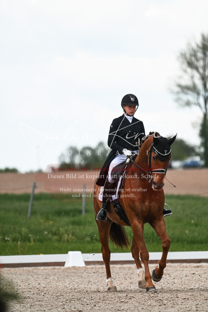 20230514_JK-Röhrsdorf-21-284 | Pferde- und Turnierfotografie in Westsachsen. Pferdeportraits, Auftragszeichnungen und intuitive Kunst.