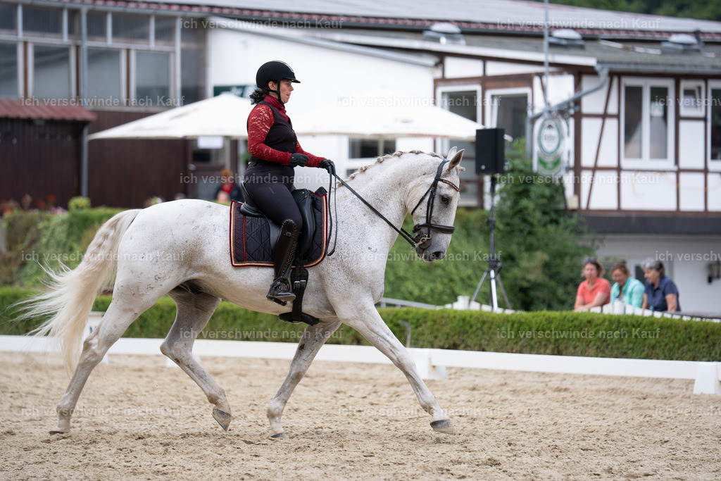 WS_DR_63_sinafilmart_IN01543 | working equitationturnier fotograf videograf stoibphotography marixx film working equitation deutschland reitsport turnierfotografie eventfotografie equestrian events