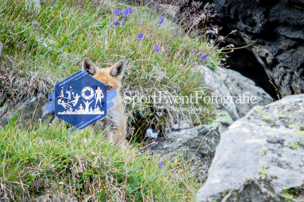 IMAG1089 | SportEventFotografie - Roman Stoiber