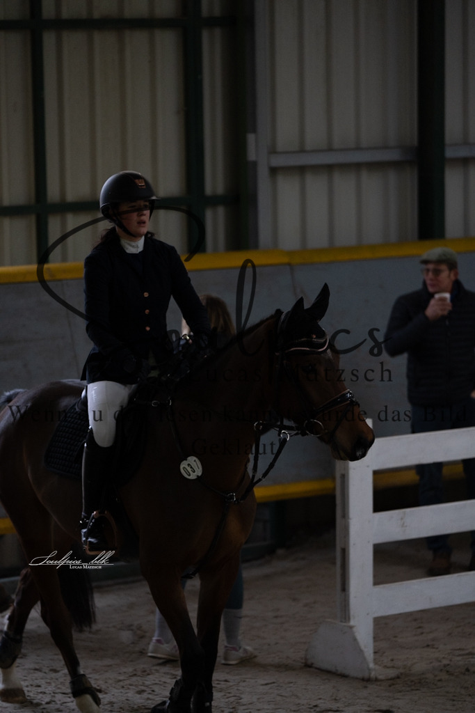 A7V00783 | Pferdefotograf