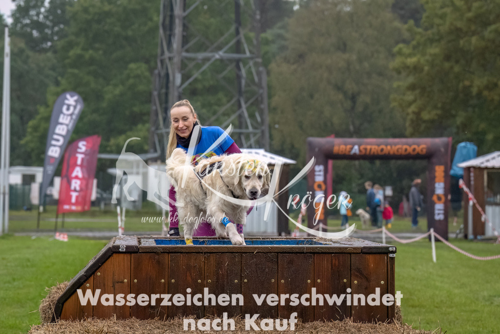 1230--15 | kk-dogfotos