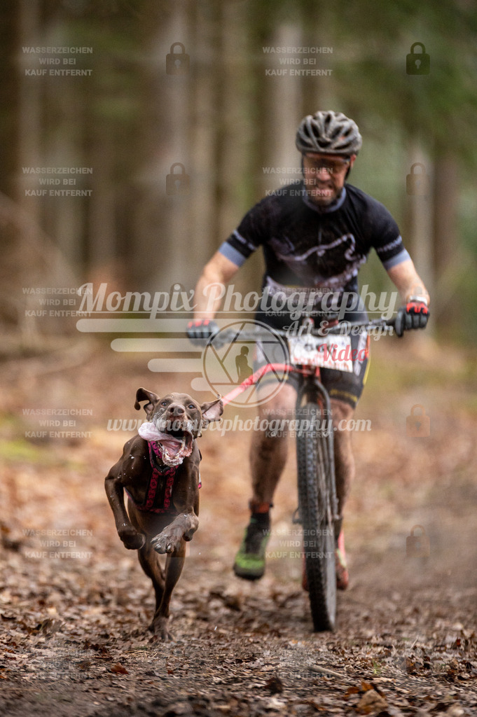 SPA_2023_DIM_Scooter-27 | PayLife