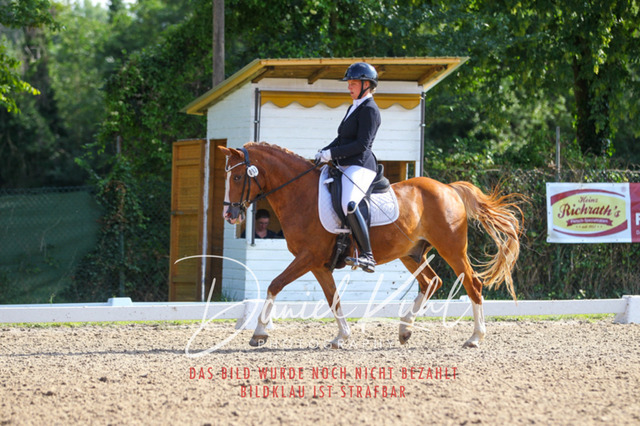 DKP43055 | Turniersportfotografie; Pferdefotografie; Dressurfotografie