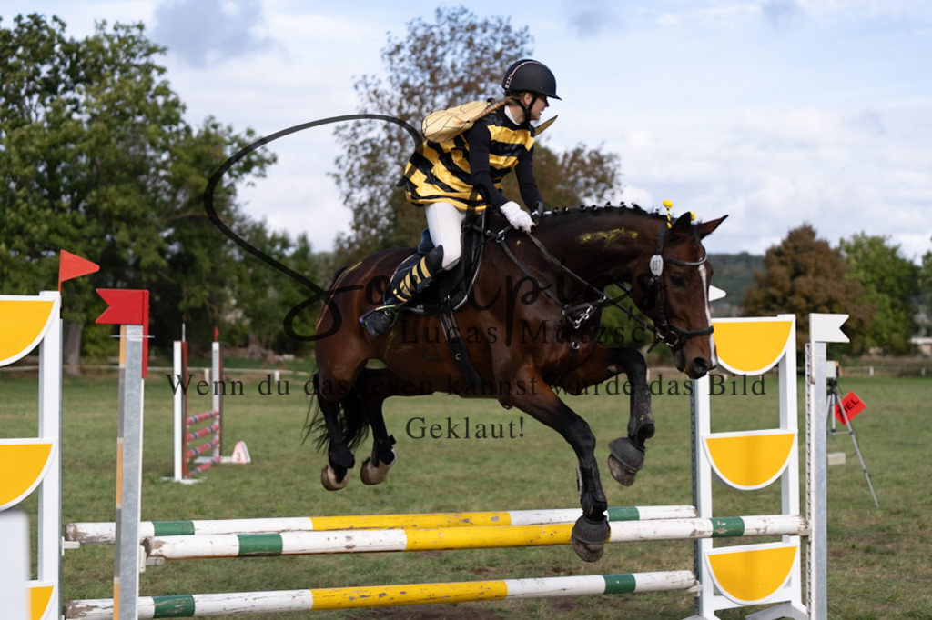 A7V06552 | Pferdefotograf