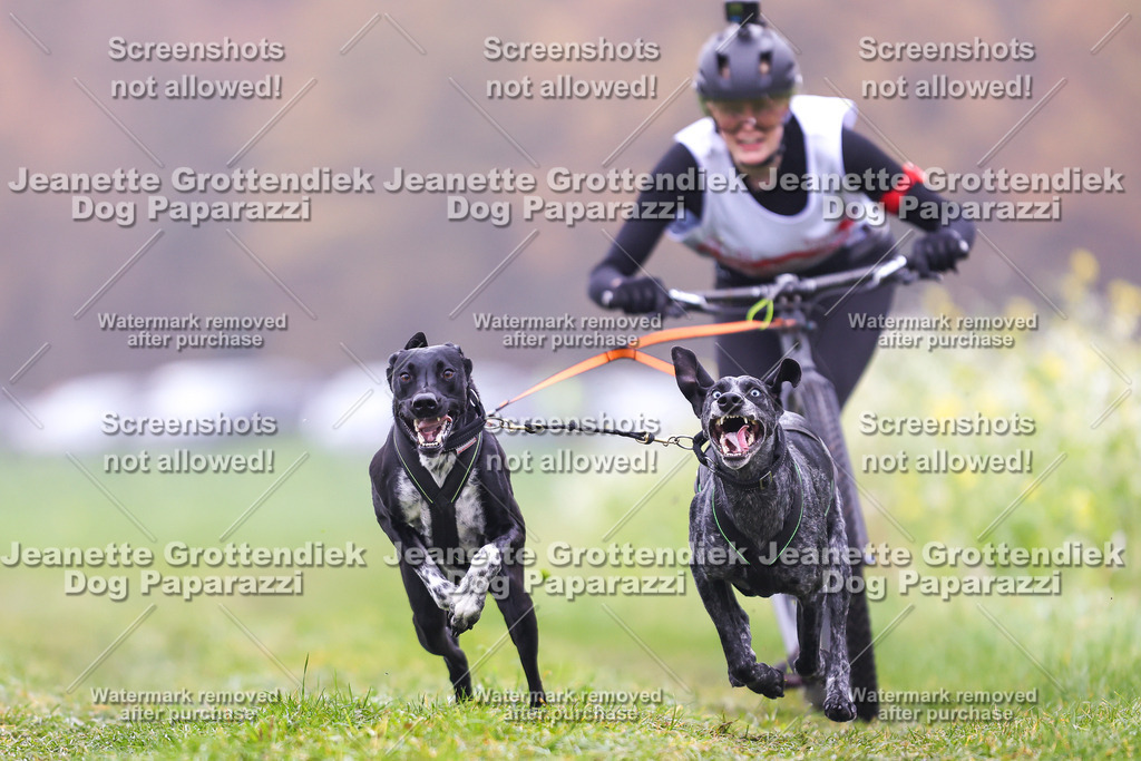 Dog Paparazzi - Visbeck 25 -55 | Dog Paparazzi Jeanette Grottendiek Fotografie & Videografie - Realisiert mit Pictrs.com