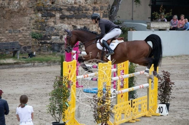 2B4A2614 | pixelfaenger - Realisiert mit Pictrs.com