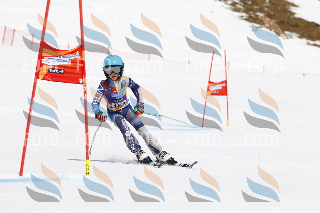 _U3G4391 | holidayphoto