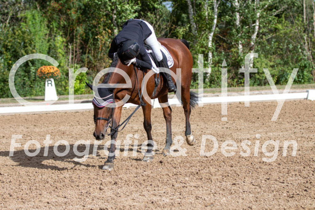 IMG_5404 | Creatify Fotografie