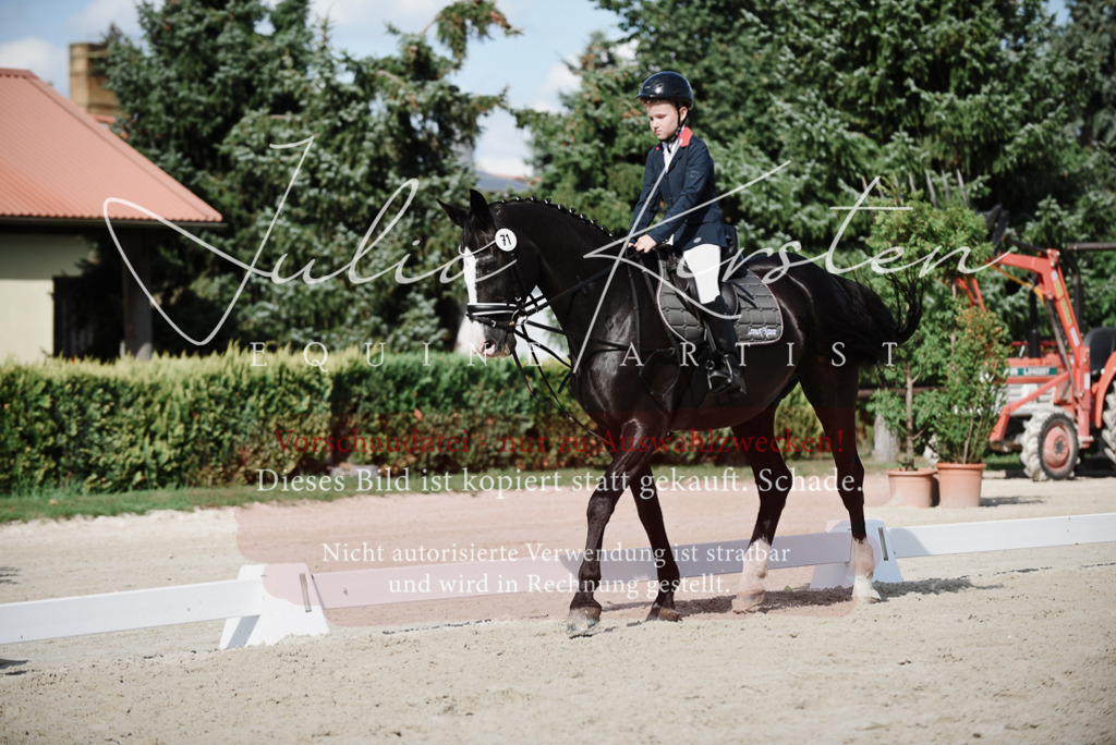 DSC_0004 | Pferde- und Turnierfotografie in Westsachsen. Pferdeportraits, Auftragszeichnungen und intuitive Kunst.