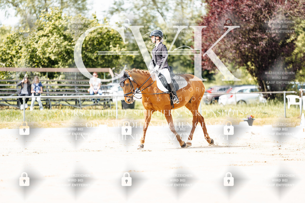 CK901648 | Turnierfotografie Pferdefotografie Trier Rheinland-Pfalz Pferdesport Reitsport Tierfotografie Sportfotografie Pferdevideo Pferdevideografie Equestrianvideography equestrianphotography  - Realisiert mit Pictrs.com