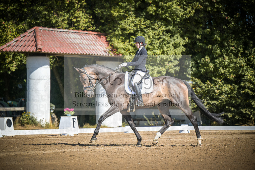 DOS_3285 | Entdecke hochwertige Reitturnierfotos von Foto Oger. Professionell, emotional und authentisch – jetzt Lieblingsmomente im Shop bestellen.Deutschlandweite Turnierfotografie. - Realisiert mit Pictrs.com