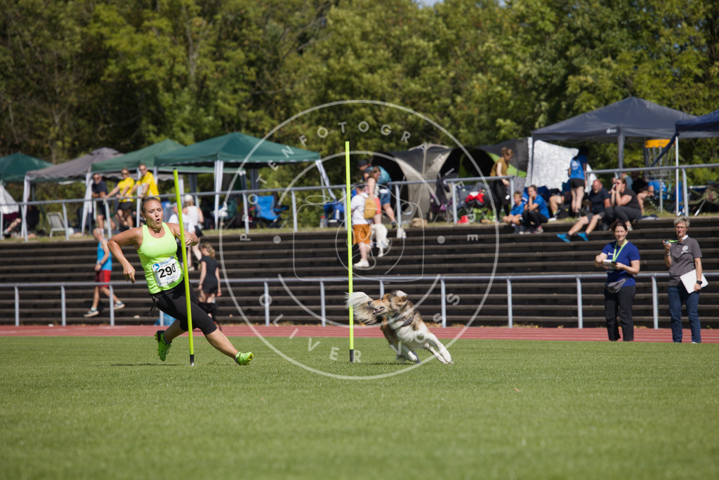 0L8A6989 | Hundefotografie, Tierfotograf, Pfotenfotografie, Fotoshooting Hund, Hunde Portrait, Hundesport, Hundeportraits, Heideshooting, Hunde, Sportfotograf, Hundefotograf, Turnierhundsport, THS,  - Realisiert mit Pictrs.com