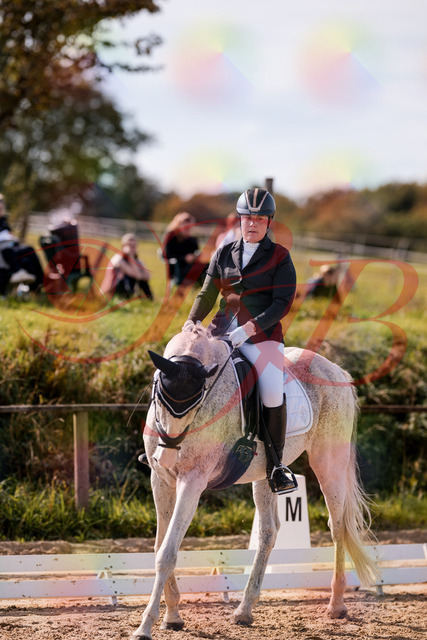 2026_10_03_Siefer-Hof_123016_Z81_29485089 | Professionelle Reitsport-, Turnier- und Eventfotografie von Robert Broda. Galerien mit ausgewählten und bearbeiteten Bildern direkt online ansehen und bestellen.
