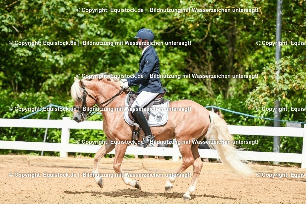 20230716_01_Dressurprüfung Kl.M_0159 | equistock