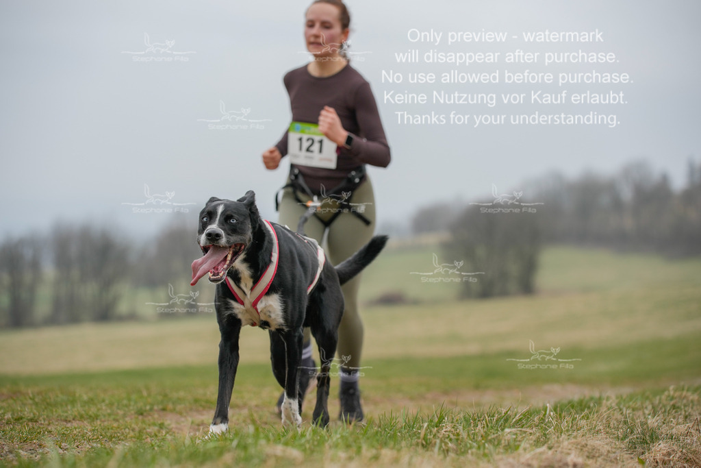 Canixlong-166 | stephaniefillaphotographie - Realisiert mit Pictrs.com