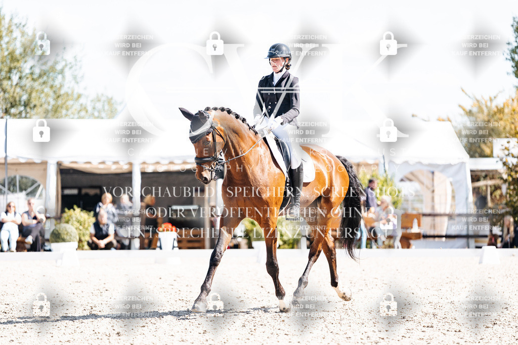 CK902905 | Turnierfotografie Pferdefotografie Trier Rheinland-Pfalz Pferdesport Reitsport Tierfotografie Sportfotografie Pferdevideo Pferdevideografie Equestrianvideography equestrianphotography  - Realisiert mit Pictrs.com