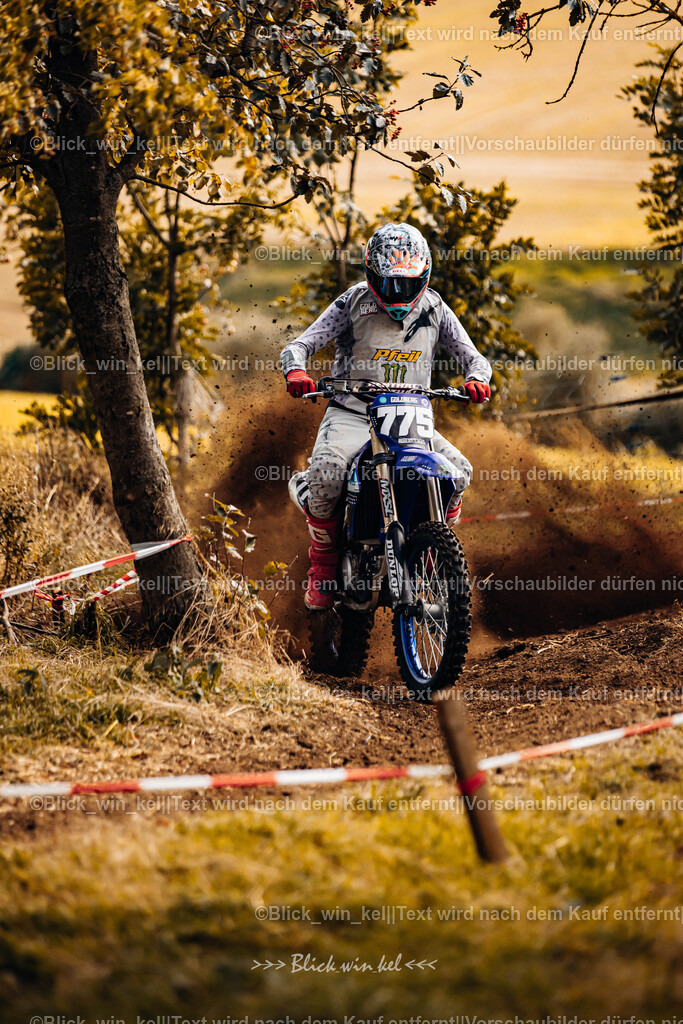 E68A3186 | blick_win_kel