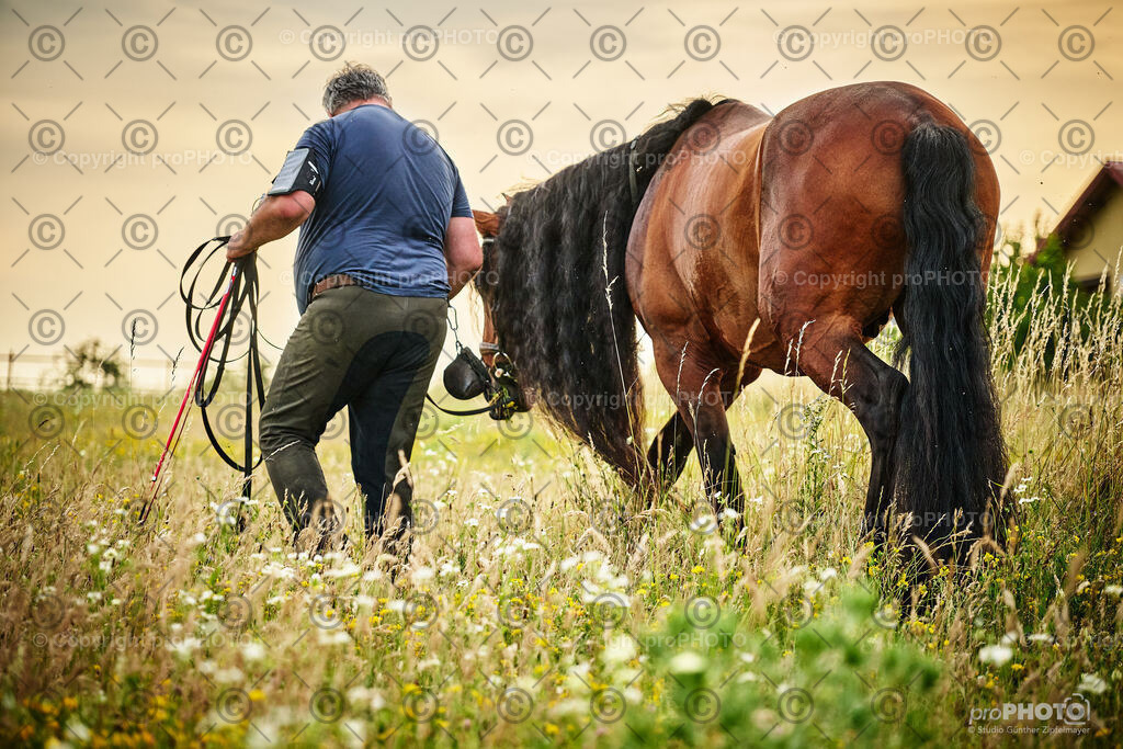 101_202406_Niki-Herodes_NZ9_9855 | proPHOTO - Realisiert mit Pictrs.com