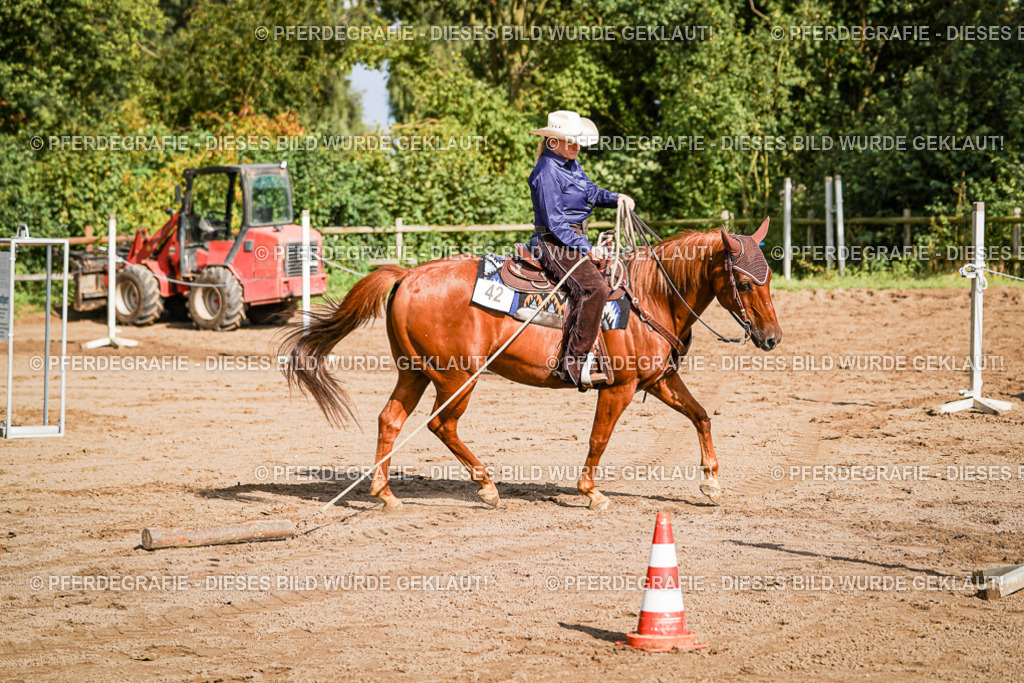 DSC00343 | Pferdegrafie