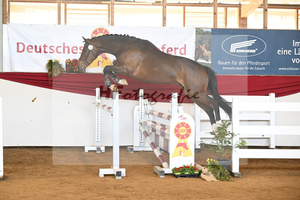 Kat-Nr. 24 Chaccalouu v. Conthalou_Rother-Link_16251040 | hf-fotografie - Realisiert mit Pictrs.com