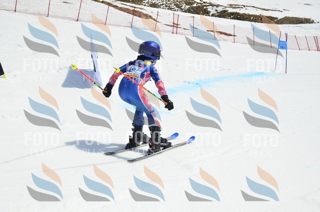 _ELE1279 | holidayphoto