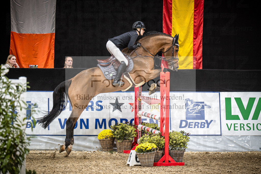 DOS_1867 | Entdecke hochwertige Reitturnierfotos von Foto Oger. Professionell, emotional und authentisch – jetzt Lieblingsmomente im Shop bestellen.Deutschlandweite Turnierfotografie. - Realisiert mit Pictrs.com