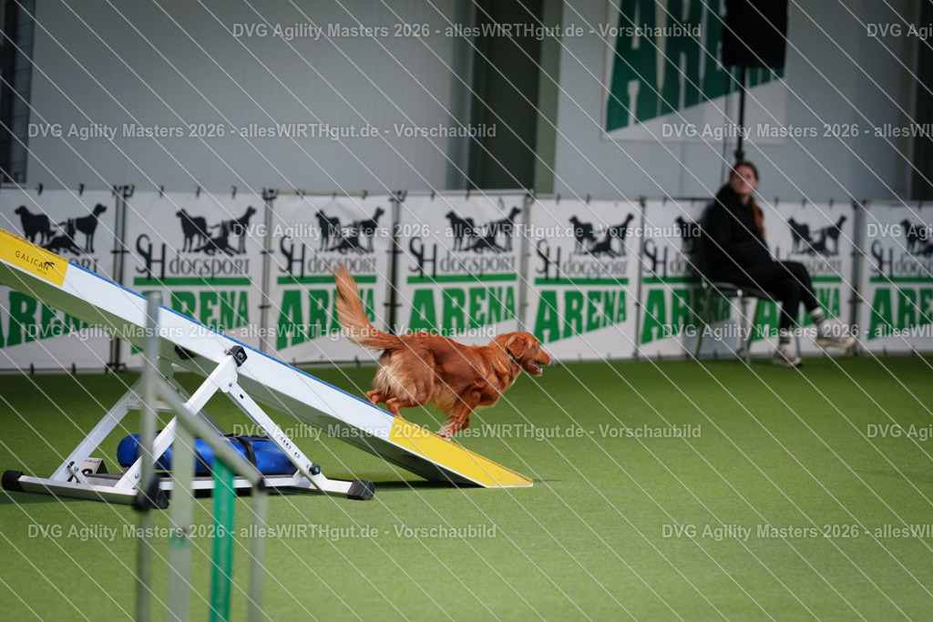 allesWIRTHgut_Tierfotografie-DVG_Agility_Masters_2026-15_51-7R502976 | Professionelle Tierfotografie in Mönchengladbach von Daniel Wirth (allesWIRTHgut). Liebevolle & natürliche Bilder von Hunden & Katzen für unvergessliche Erinnerungen.