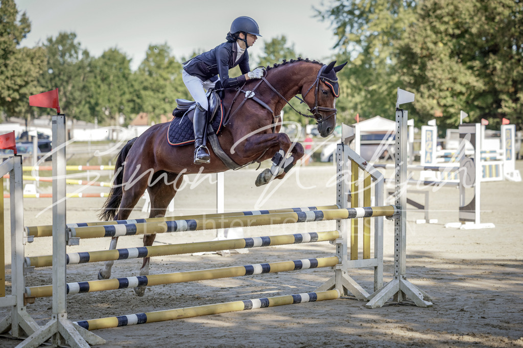 20250906-_3LI3160 | Tierfotografie Pferde, Hunde, Katzen, Haustiere.
Turnierfotografie Reitturniere, Reiten, Springreiten, Dressur in Hanau, dem Main-Kinzig-Kreis und dem Rhein-Main- Gebiet um Frankfurt