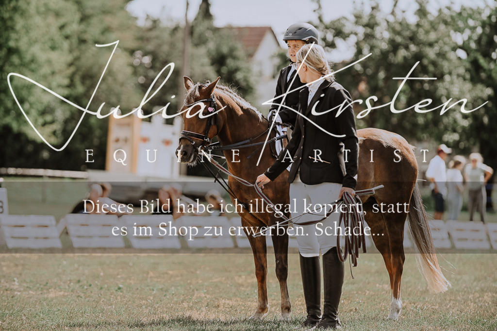 DSC_7643 | Pferde- und Turnierfotografie in Westsachsen. Pferdeportraits, Auftragszeichnungen und intuitive Kunst.