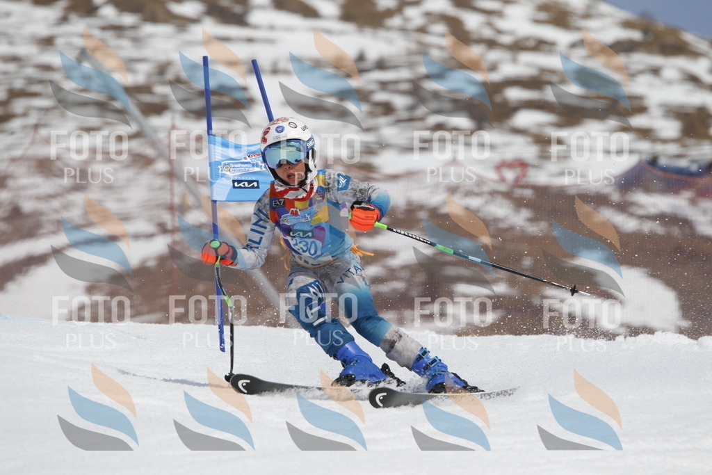 _U3G2516 | holidayphoto