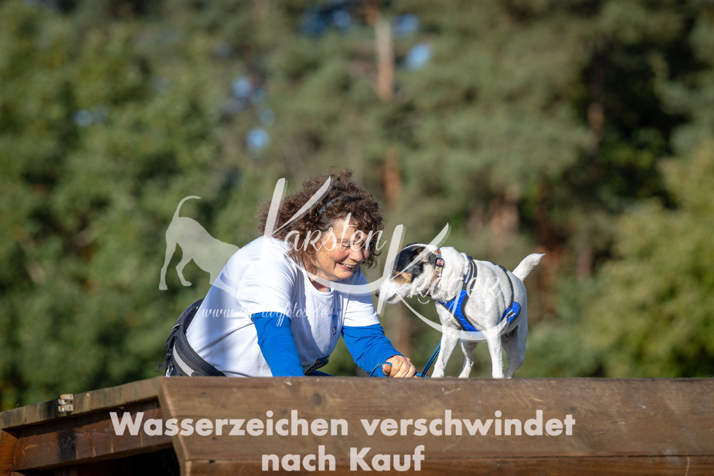 0958_ZZ91699 | kk-dogfotos