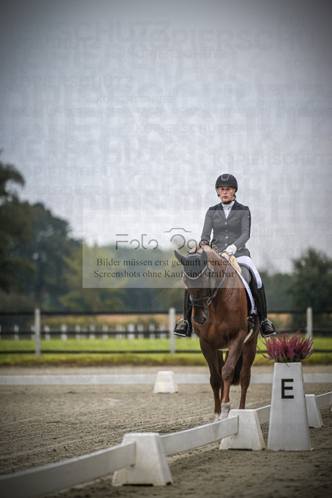DOS_0068 | Entdecke hochwertige Reitturnierfotos von Foto Oger. Professionell, emotional und authentisch – jetzt Lieblingsmomente im Shop bestellen.Deutschlandweite Turnierfotografie. - Realisiert mit Pictrs.com