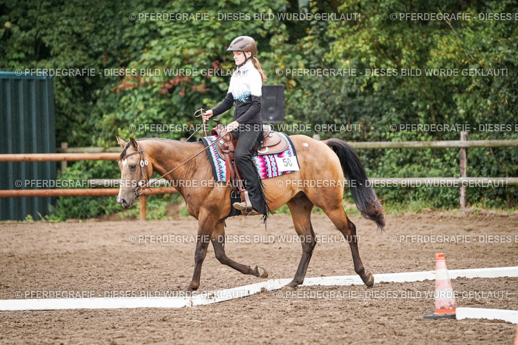 DSC04533 | Pferdegrafie