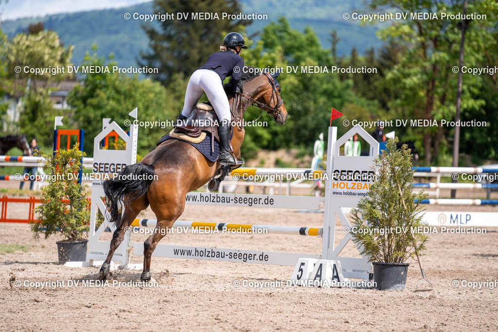 Eppelheim Tag 1-301 | dv-media-shop - Realisiert mit Pictrs.com