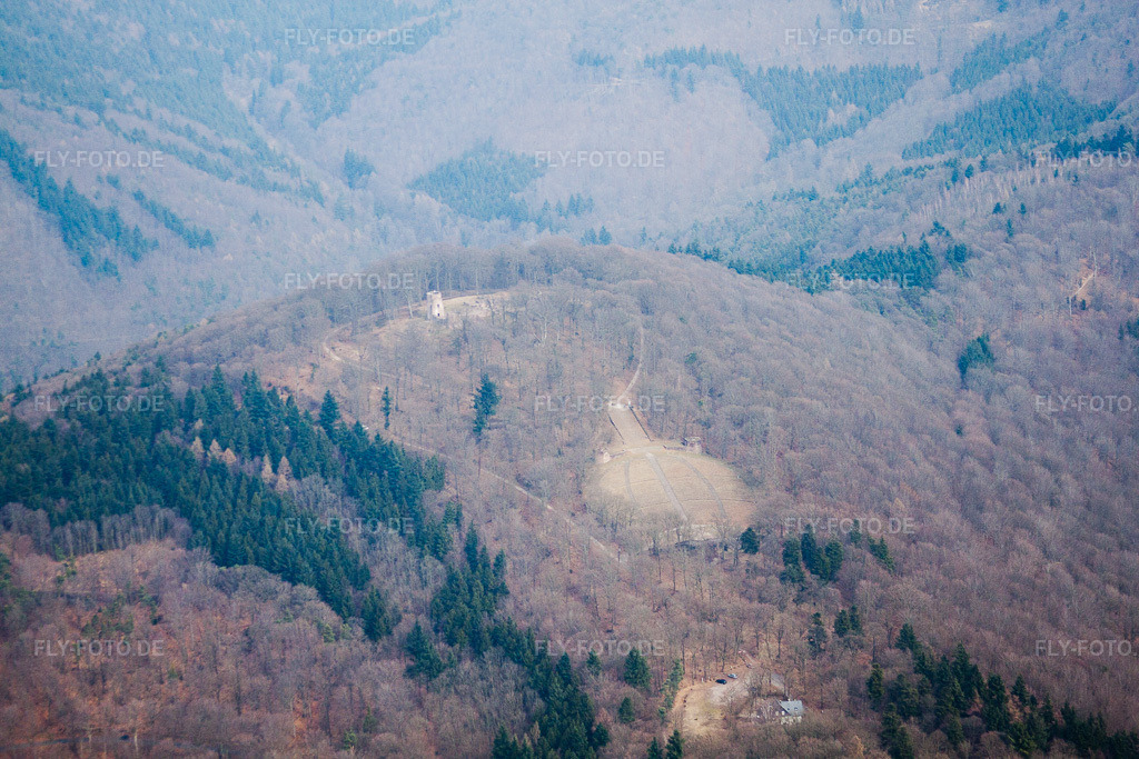 Luftbild: Thingstätte auf dem Heiligenberg im Ortsteil Handschuhsheim in Heidelberg im Bundesland Baden-Württemberg in Deutschland. Foto: IMG_37896.jpg vom 12.03.2011 durch Werner Riehm/FLY-FOTO.de