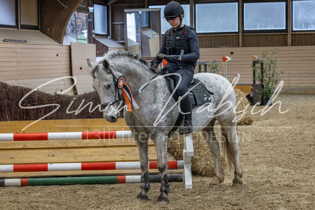 20260222-_3LI1088 | Tierfotografie Pferde, Hunde, Katzen, Haustiere.
Turnierfotografie Reitturniere, Reiten, Springreiten, Dressur in Hanau, dem Main-Kinzig-Kreis und dem Rhein-Main- Gebiet um Frankfurt