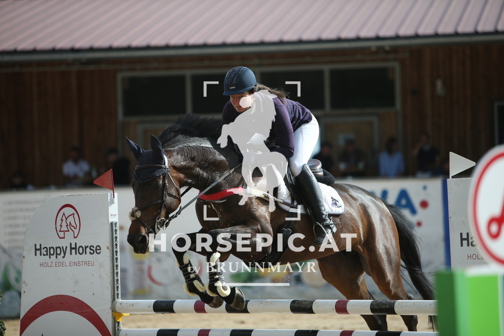 PP017003 | Willkommen bei Brunnmayr - Design & Fotografie – Ihrem Spezialisten für Reitturniere und Pferdeveranstaltungen in Oberösterreich, Salzburg und Bayern! Seit über 17 Jahren sind wir leidenschaftlich dabei.